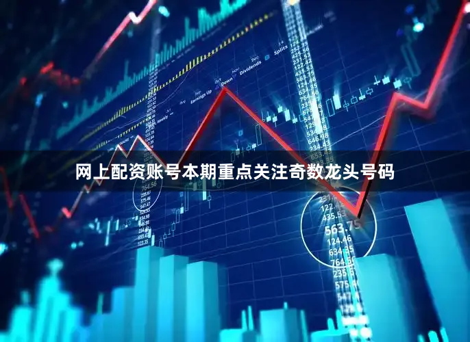 网上配资账号本期重点关注奇数龙头号码