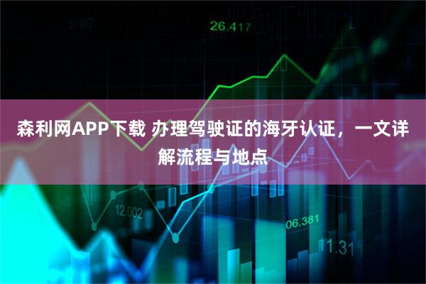 森利网APP下载 办理驾驶证的海牙认证，一文详解流程与地点