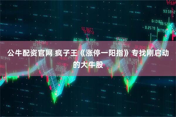 公牛配资官网 疯子王《涨停一阳指》专找刚启动的大牛股